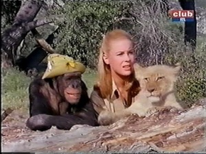 judy the chimp cheryl miller lion cub daktari season three